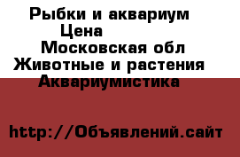Рыбки и аквариум › Цена ­ 10 000 - Московская обл. Животные и растения » Аквариумистика   